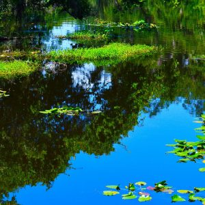 Landscape  Photography