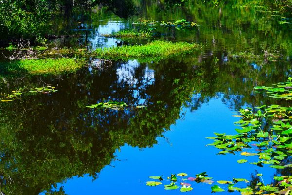 Landscape  Photography